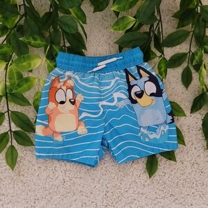 Toddler Boy Bluey Swim Shorts (2T)
